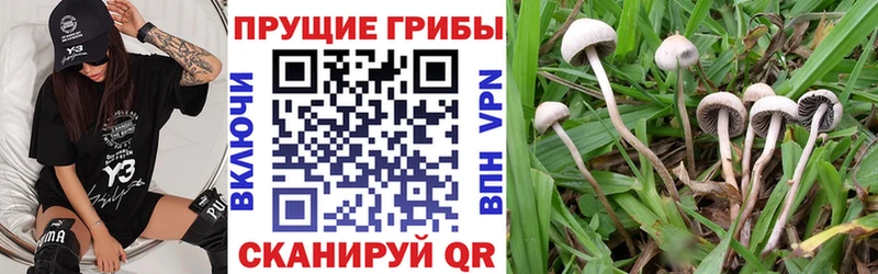 Галлюциногенные грибы прущие грибы  Дзержинск 